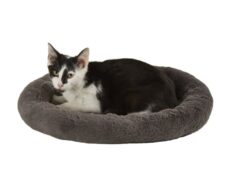 Beds & Furniture