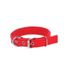 Leashes, Collars & Harnesses