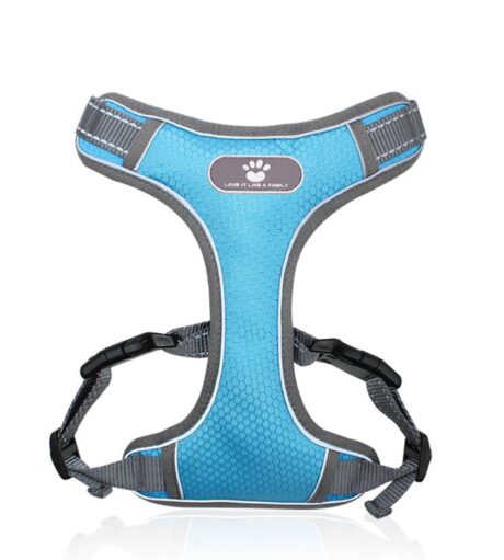 Dog Harness