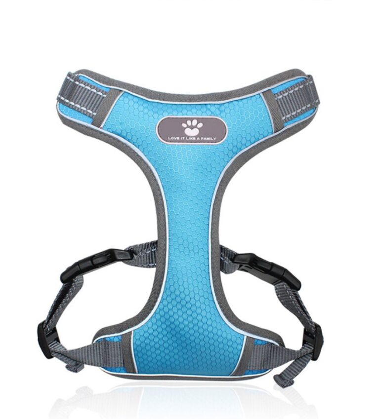 Dog harness (2)