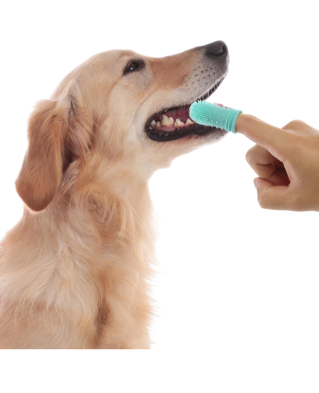 Dog Toothbrush – 360° Finger Toothbrush for Dogs & Cats | Lulu Spot