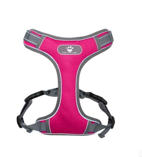 Best Dog Harness No-Pull | Adjustable Harness For XSmall Dogs | Lulu Spot Harness Dog Vest