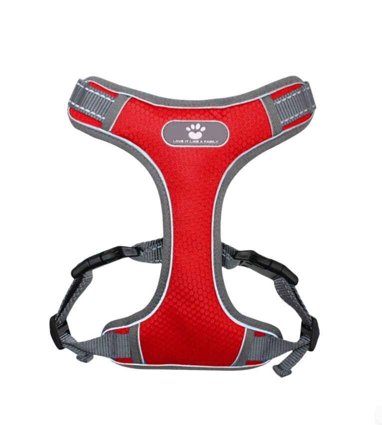 harness-red (1)