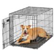 30 inch dog crate