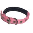 Dog Collar Pink