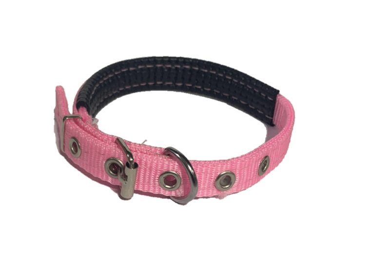 Dog Collar Pink