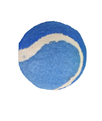 Pet-Safe Interactive Ball Dog Toy