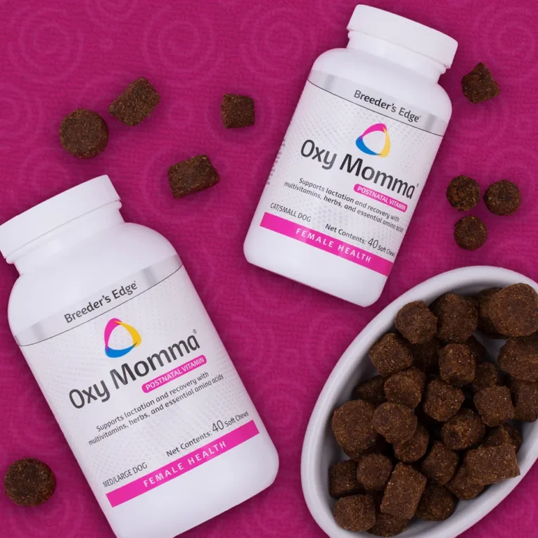 Oxy Momma Group