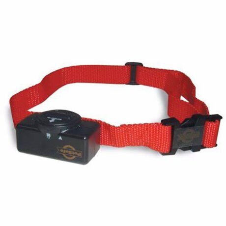 Petsafe Basic Bark Collars for Dogs – Effective Bark Control | Humane Anti-Barking Device