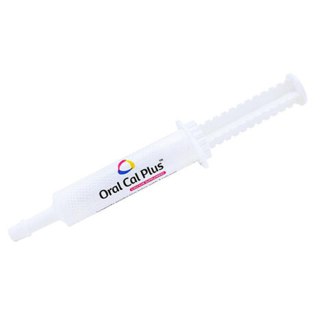 Breeder’s Edge Oral Cal Plus | Calcium Supplement for Dogs & Cats
