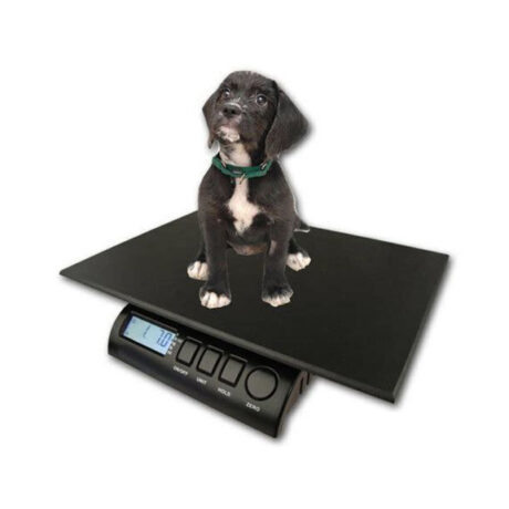 Accurate Digital Pet Scale | High Precision Small Pet Weighing
