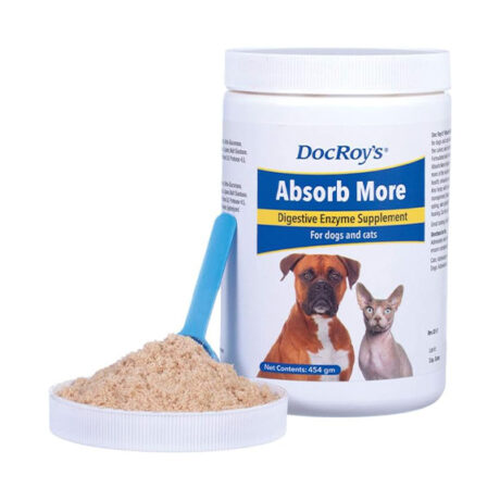 Doc Roy's Absorb More