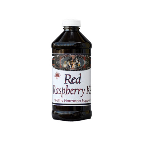 K9 Red Raspberry