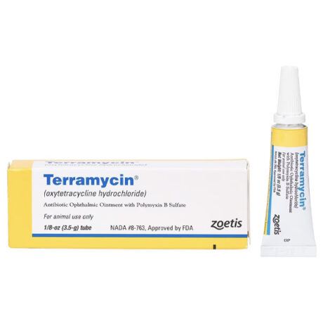 Terramycin Ointment Tube for Pet Eye Infections – Antibiotic Eye Treatment