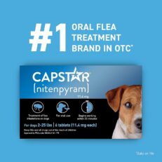 Flea & Tick Treatment