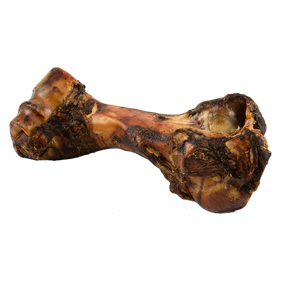 Jumbo Bone