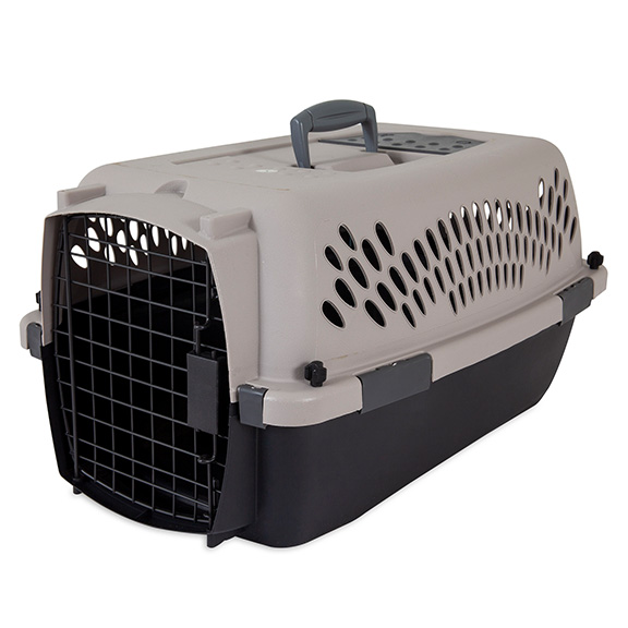 Pet Taxi