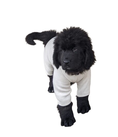 Classic Dog Sweater – Handmade Turtleneck Knit Wear for Winter