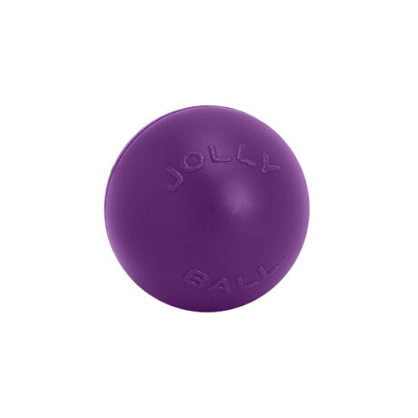Push-n-Play Dog Ball | Durable Interactive Play Ball for Active Dogs