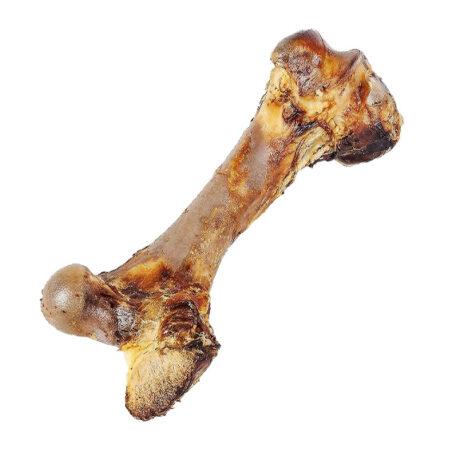 Natural Roast Beef Chew Bone for Dogs | Dog Chew Treat