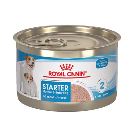 Royal Canin Starter Mousse Mother & Babydog Loaf 24 x 5.1 oz | Wet Food for Mother Dogs & Puppies