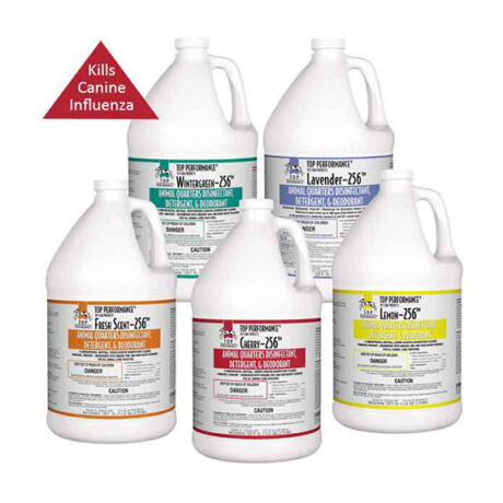 Top Performance Pet Disinfectant – Concentrate for Kennels, Clinics & Homes