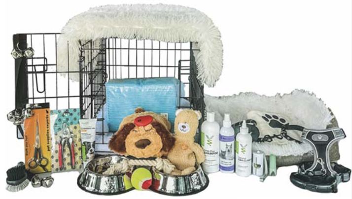 The Ultimate Puppy Starter Kit