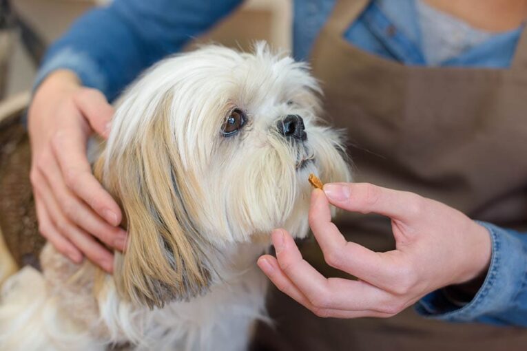 best multivitamin for dogs