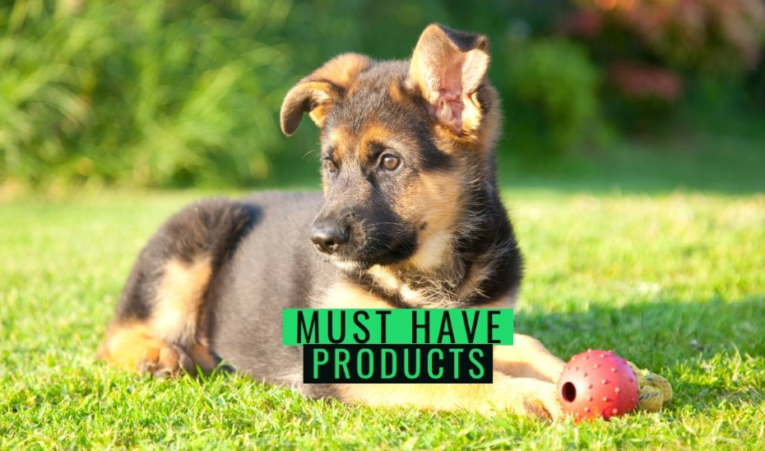 puppy products