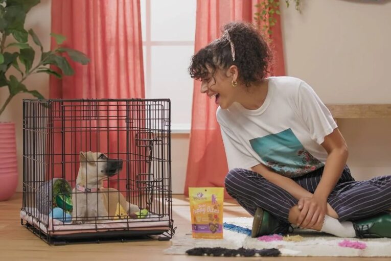 crate training for dogs