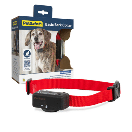 Basic Bark Control Collar for Dogs – Adjustable Bark Training Solution