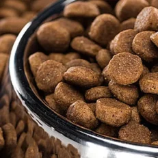 Dry Food
