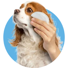 Ear & Eye Care