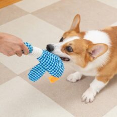 Squeaky Toys
