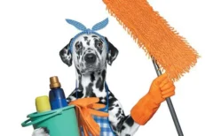 Cleaning Supplies