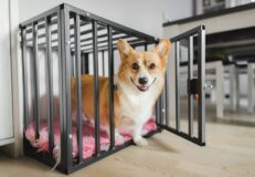 Crates, Pens & Gates