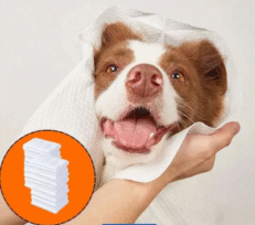 Towels & Wipes