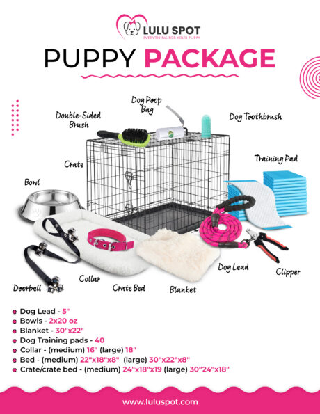Puppy Starter Kit – Complete Training & Travel Package