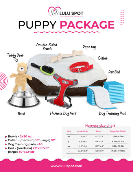 Puppy Starter Kit – Everyday Essentials Package